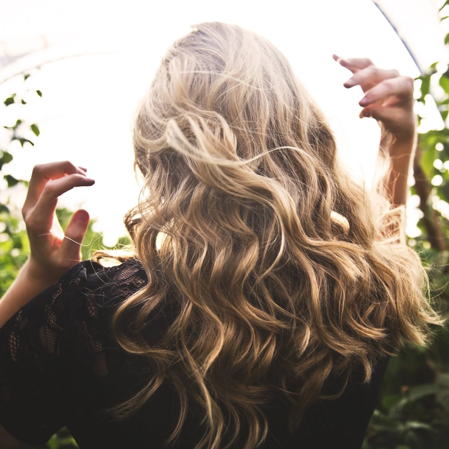 The back of a woman's head with long, wavy and shiny blonde hair that's been conditioned with cassia