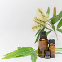 A glass bottle of wildcrafted eucalyptus essential oil