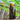 A glass bottle of lemongrass essential oil for mixing with henna