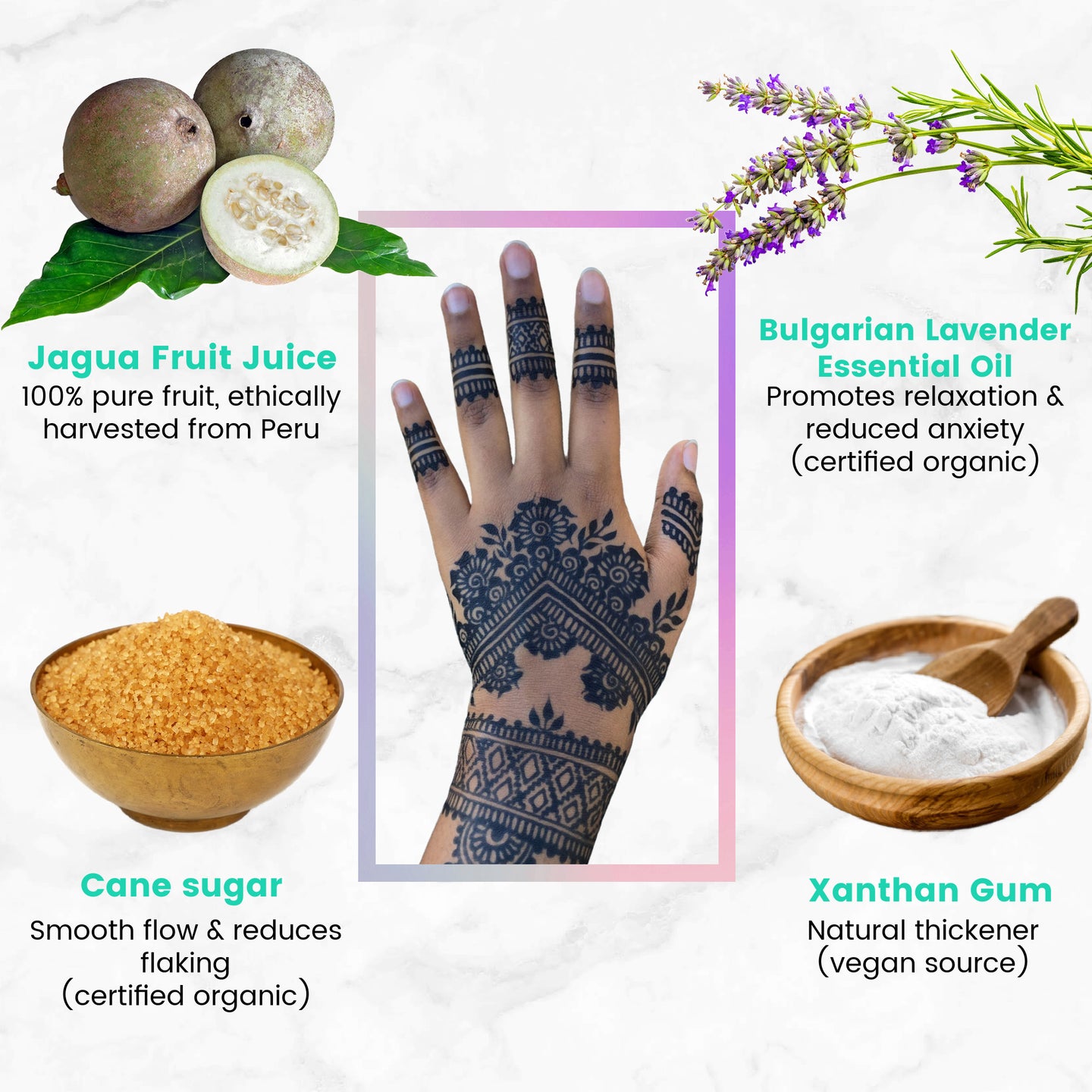 Ready To Go Jagua Kit for Beginners