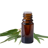Cajeput Essential Oil, Conventional
