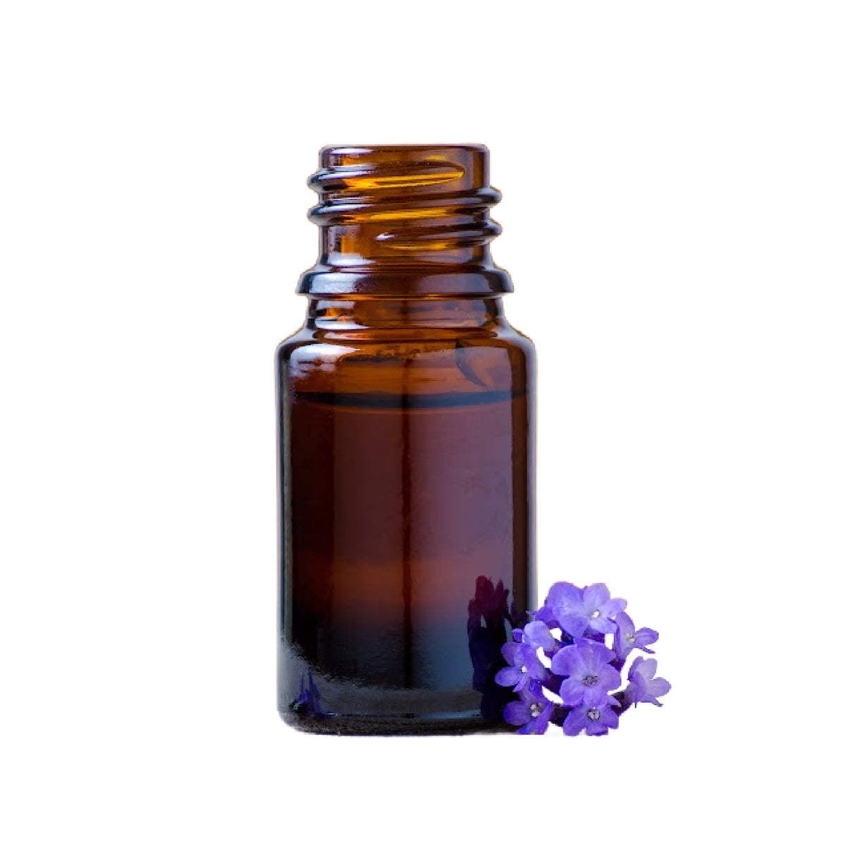 Bulgarian Lavender Essential Oil, Organic