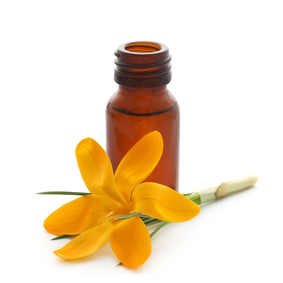 Secret Garden Artisan Blend Essential Oil